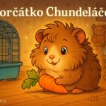 Morčátko Chundeláček