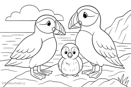 Omalovánka papuchalk severní