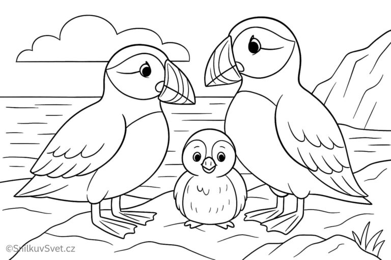 Omalovánka papuchalk severní