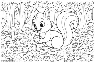 Omalovánka veverky, která sbírá v lese oříšky
