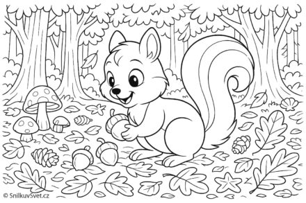 Omalovánka veverky, která sbírá v lese oříšky