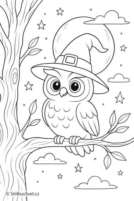 Omalovánka sovy s čarodějnickým kloboukem