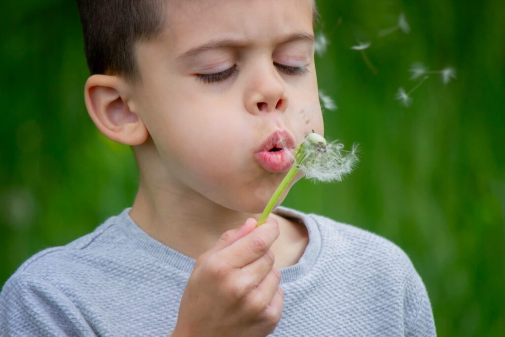 Chlapec fouká do odkvetlé pampelišky