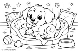 Omalovánka štěňátka v pelíšku s kostičkou