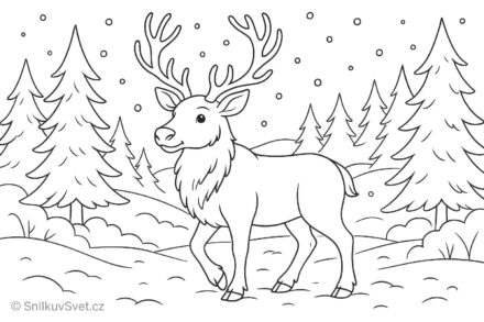 Omalovánka soba v zimní krajině