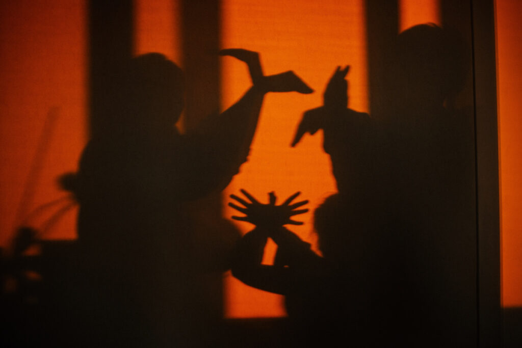 Matka s dětmi si hraje stínové divadlo.