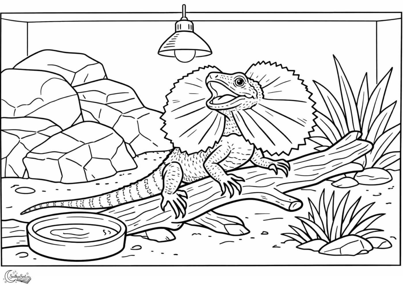 Omalovánka: Agama límcová v teráriu