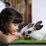 Detailní záběr na dívku s tmavými vlasy, která zblízka pozoruje dva bílé králíčky s černými znaky, jak žerou mrkev na zelené trávě.