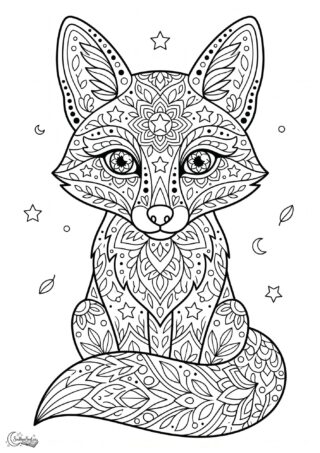 Omalovánka: Pohádková liščí mandala
