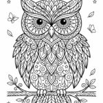Černobílá line-art omalovánka mandaly pro děti s motivem sovy sedící na větvi, obklopené hvězdami a lístky.