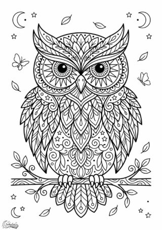 Omalovánka: Kouzelná soví mandala