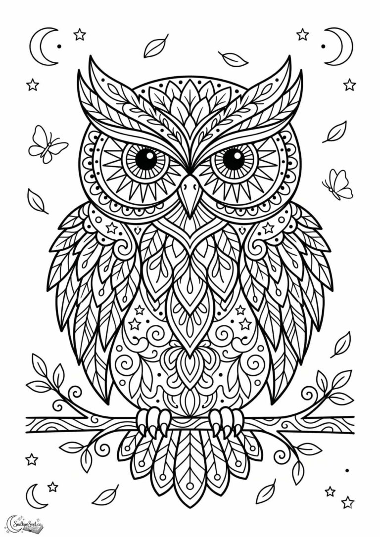 Omalovánka: Kouzelná soví mandala