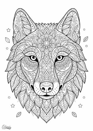 Omalovánka: Tajemná vlčí mandala