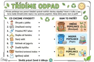 Třídíme odpad: Jak naučit děti a předškoláky chránit přírodu