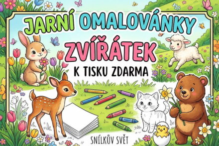 12 roztomilých jarních omalovánek zvířátek